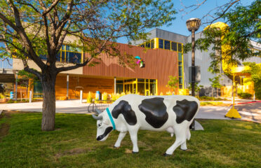 Children’s Museum of Denver at Marsico Campus